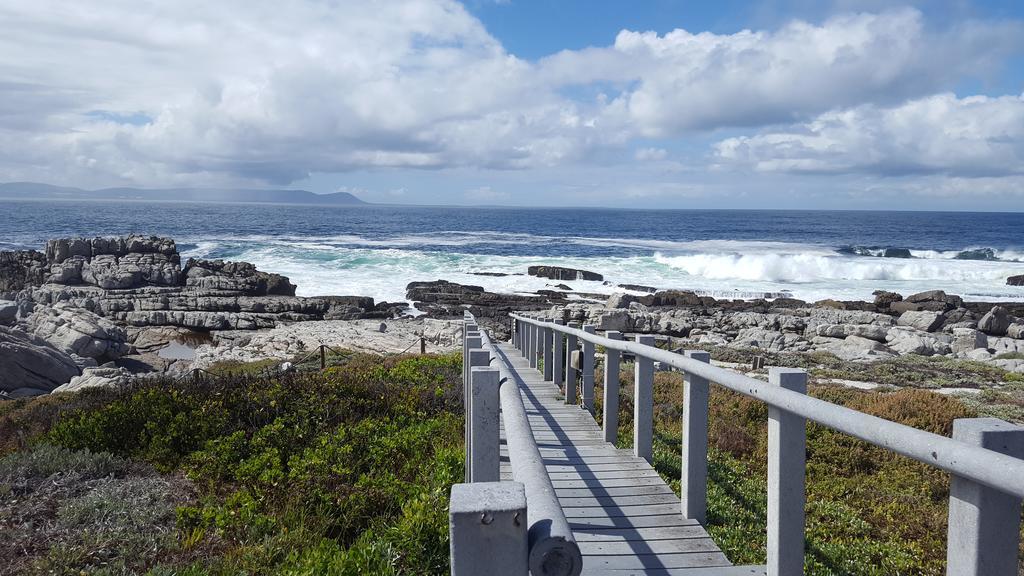 Whale View Self Catering Apartment Hermanus Eksteriør billede