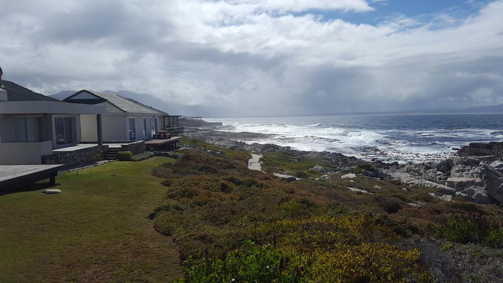 Whale View Self Catering Apartment Hermanus Eksteriør billede